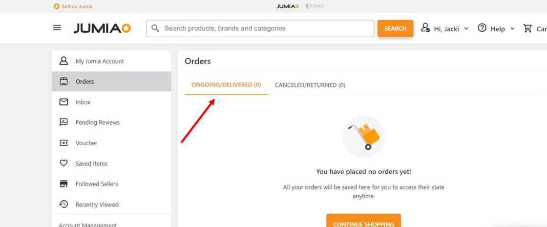 Jumia log in portal