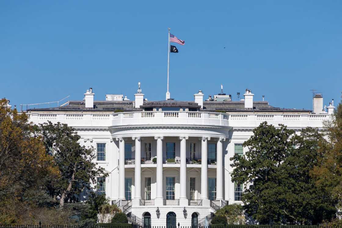 The young trespasser was reunited with their parents without incident, highlighting the agency's quick response and professionalism. The young trespasser was reunited with their parents without incident, highlighting the agency's quick response and professionalism.