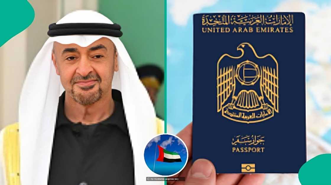 UAE publishes student residence visa requirements, explains residence permit fee