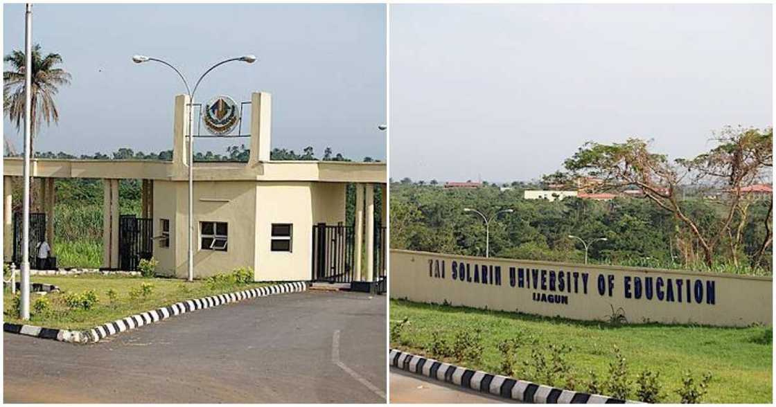 TASUED reopens/ TASUED exams date/ TASUED students clash TASUED reopens/ TASUED exams date/ TASUED students clash