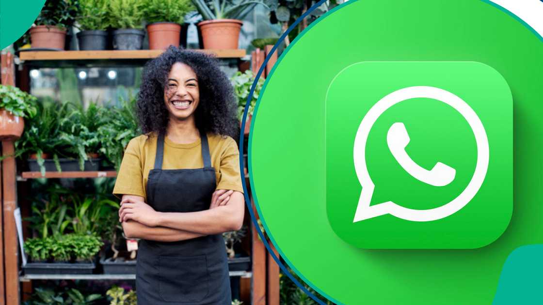 Top 5 WhatsApp business features