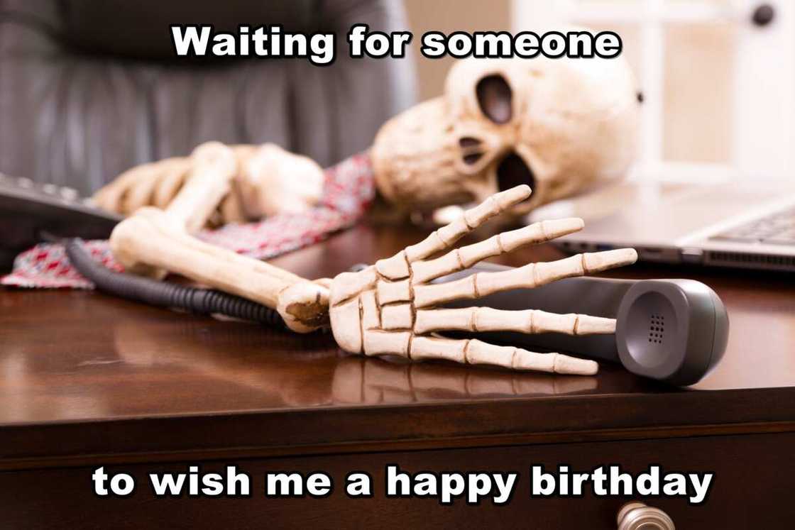 Skeleton funny Skeleton funny