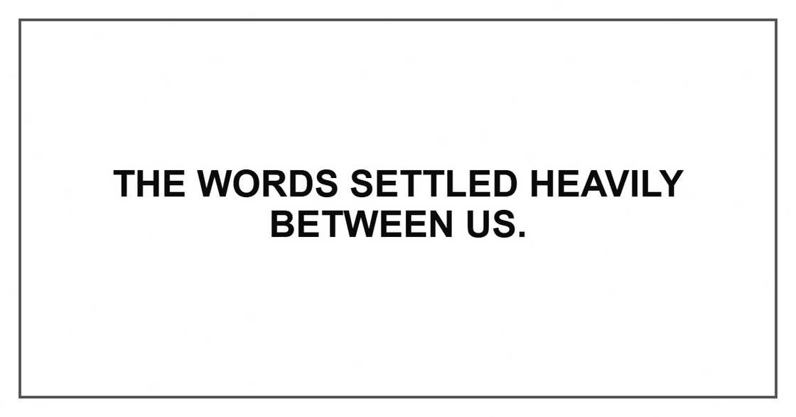 The words settled heavily between us. The words settled heavily between us.