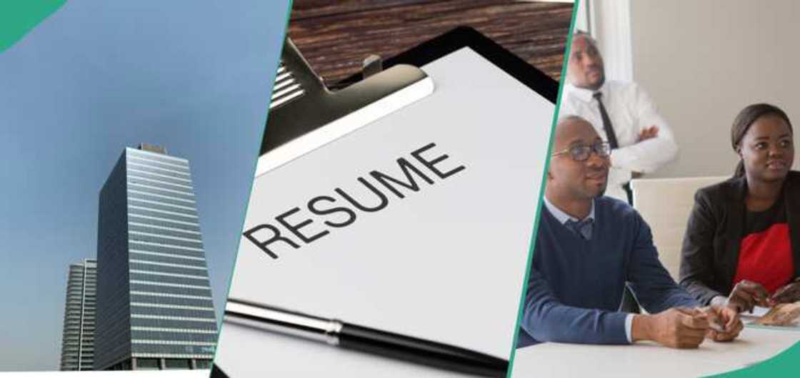 Dan Najeriya ya yi tayin aiki da albashi mai tsoka Dan Najeriya ya yi tayin aiki da albashi mai tsoka