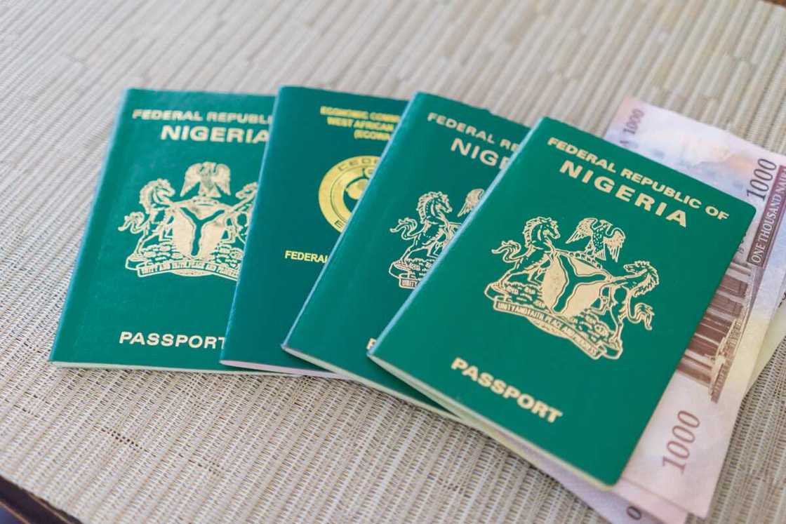 Nigerian passport Nigerian passport