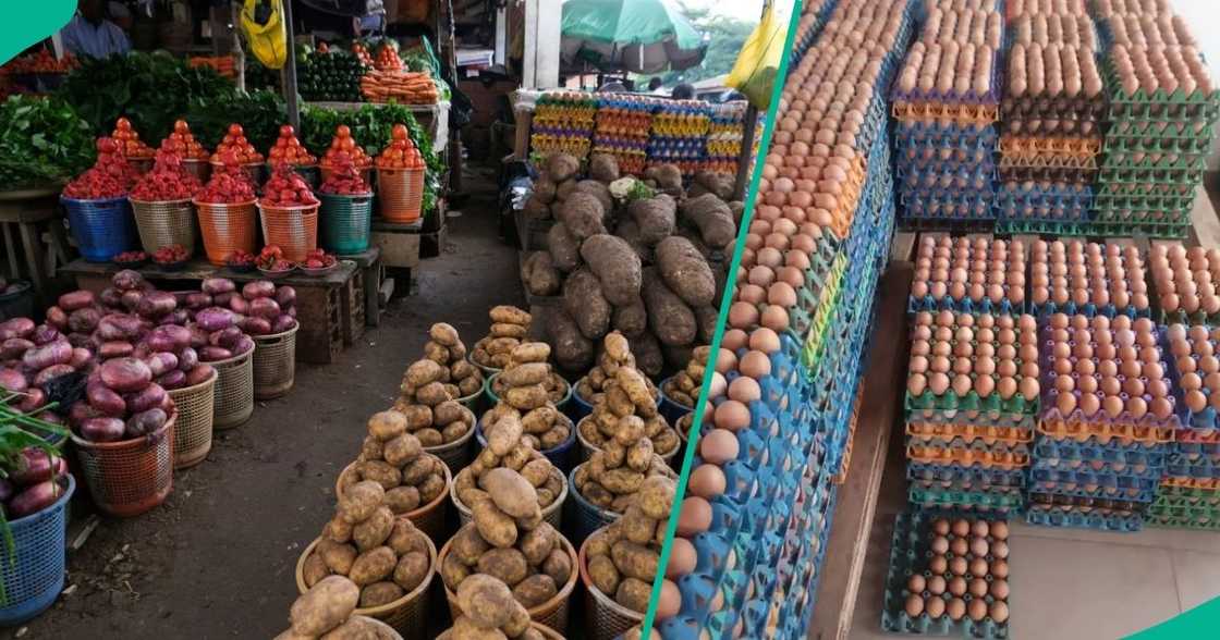 A crate of egg has dropped as maize prices crashes