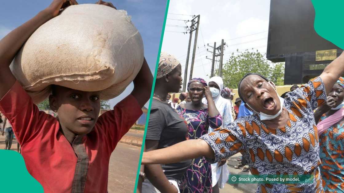 Olayiwola connects Nigeria’s food crisis to power, policy, and global greed. Olayiwola connects Nigeria’s food crisis to power, policy, and global greed.