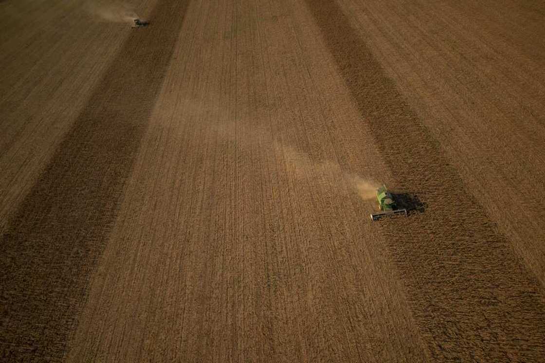 The Ukrainian agriculture ministry said the deal would 'speed up transit through Poland' The Ukrainian agriculture ministry said the deal would 'speed up transit through Poland'
