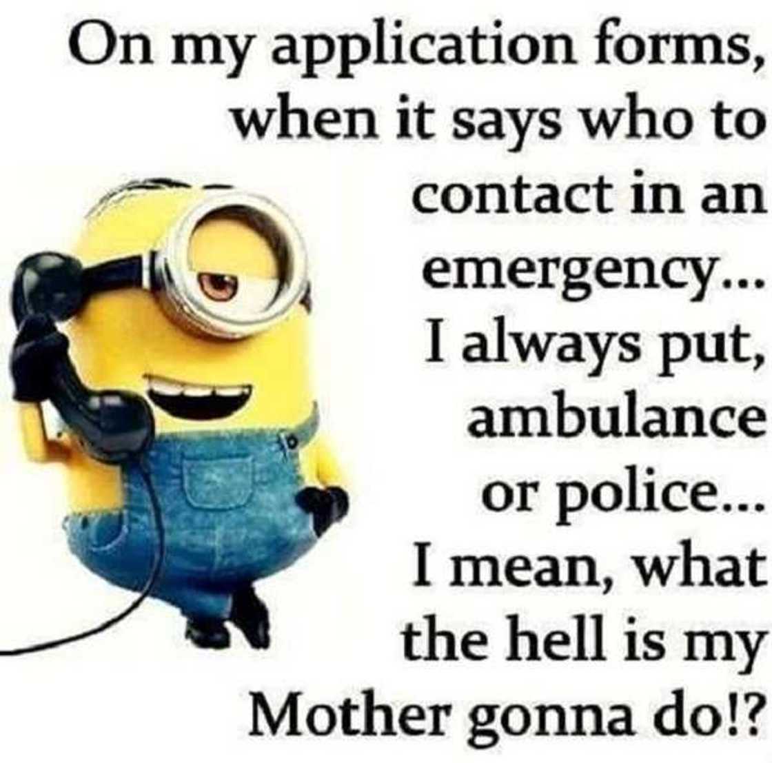 facebook minion memes facebook minion memes