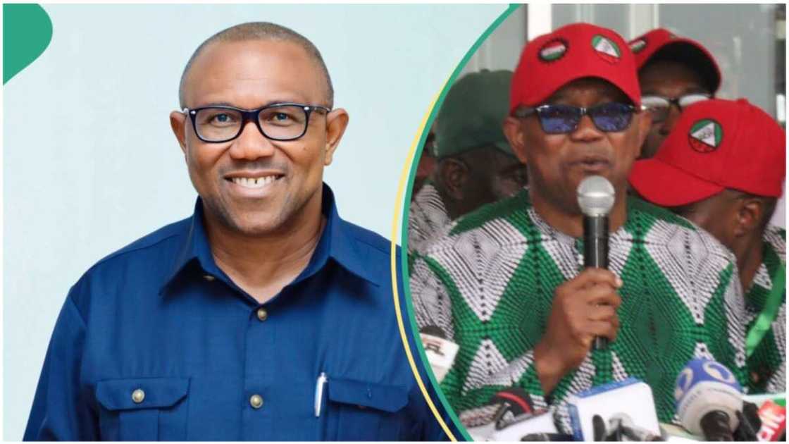 Peter Obi has commented on Nigerian youths collecting money to abuse politicians. Peter Obi has commented on Nigerian youths collecting money to abuse politicians.