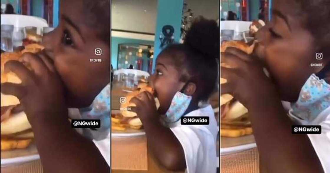 Little girl struggles to eat burger Little girl struggles to eat burger