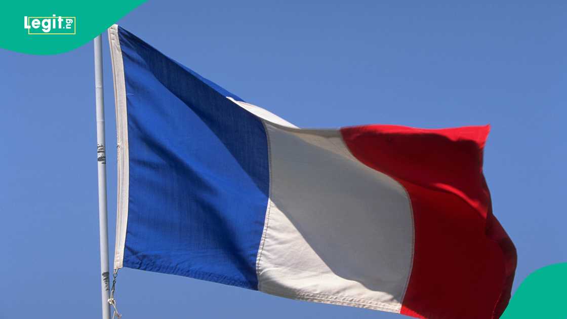 France regulates works of art imports to combat cultural illegal property. France regulates works of art imports to combat cultural illegal property.