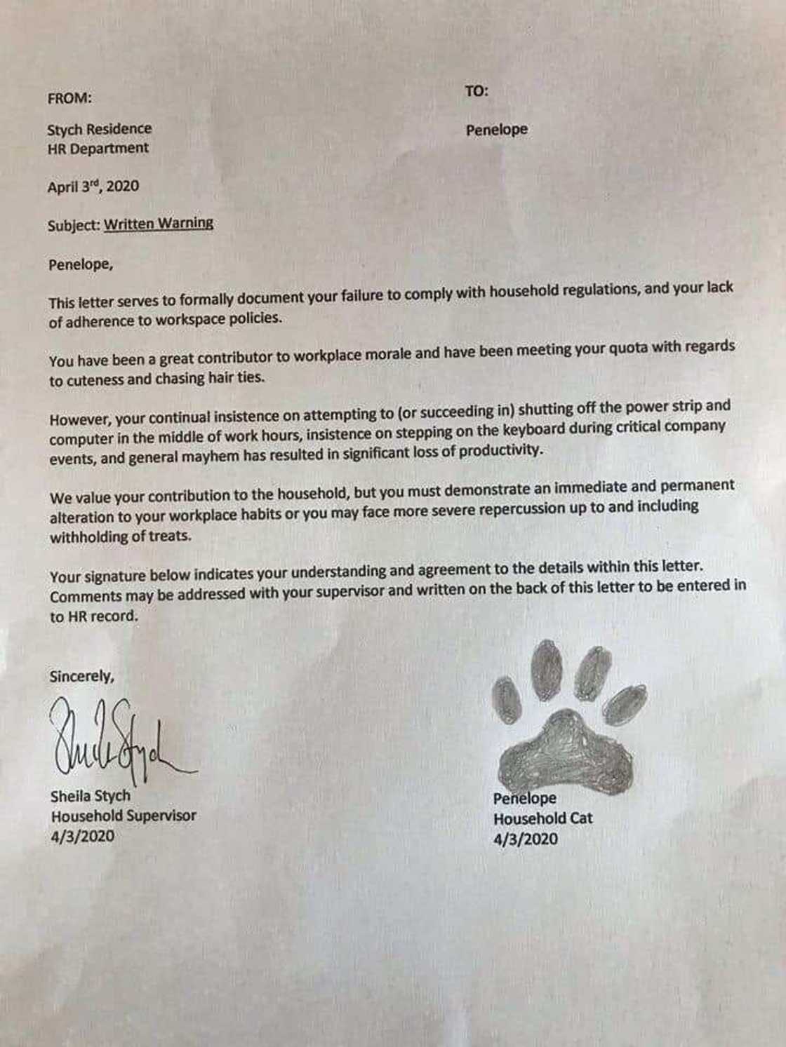 Man working from home files HR complaint against his cat for violating workplace policies Man working from home files HR complaint against his cat for violating workplace policies