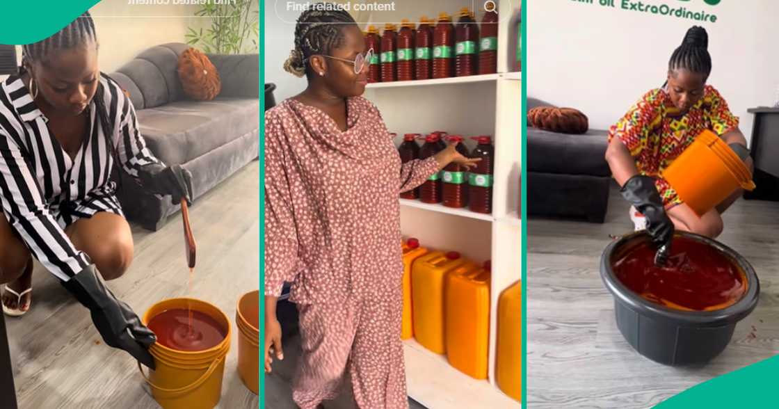 Palm oil business in Nigeria/Small businesses Palm oil business in Nigeria/Small businesses