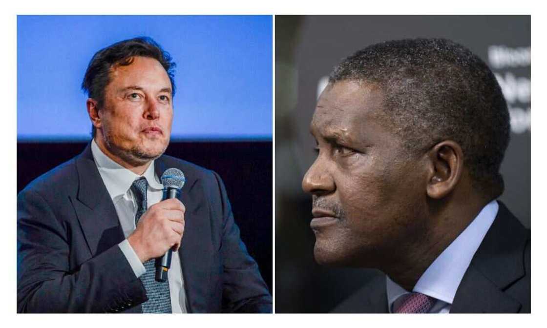 Elon Musk, Bill Gates, Dangote, Jeff Bezos