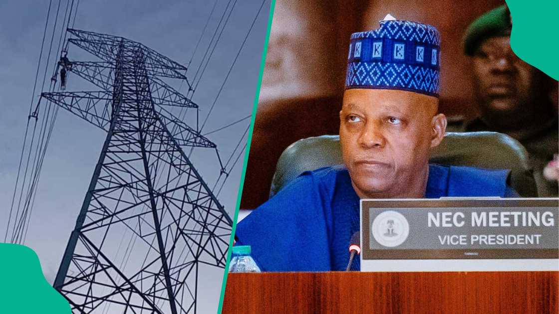 Kashim Shettima ya yi magana yayin da majalisar NEC ta kafa kwamiti kan wutar lantarki. Kashim Shettima ya yi magana yayin da majalisar NEC ta kafa kwamiti kan wutar lantarki.