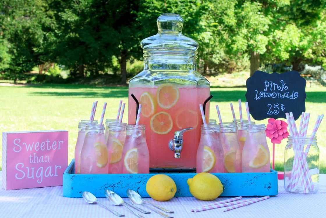 Pink lemonade at picnic in ark Pink lemonade at picnic in ark
