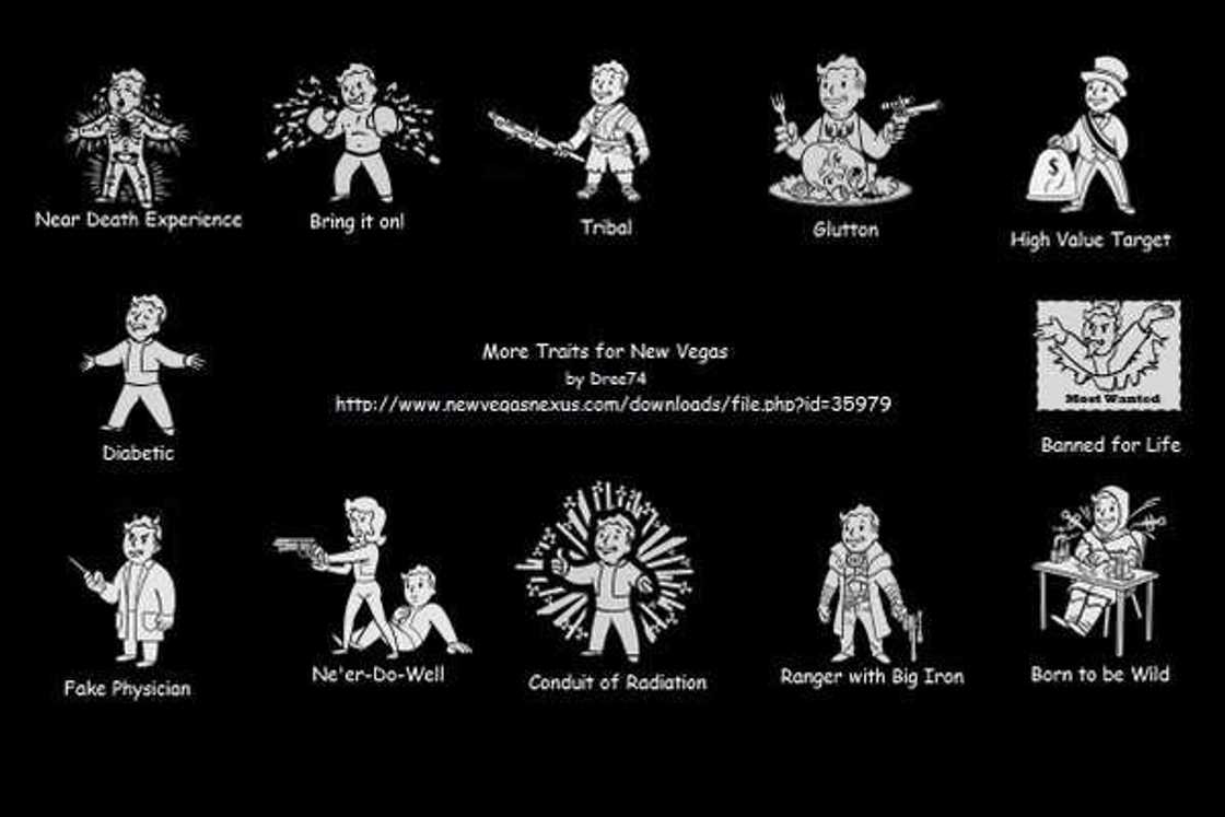 new vegas mods new vegas mods