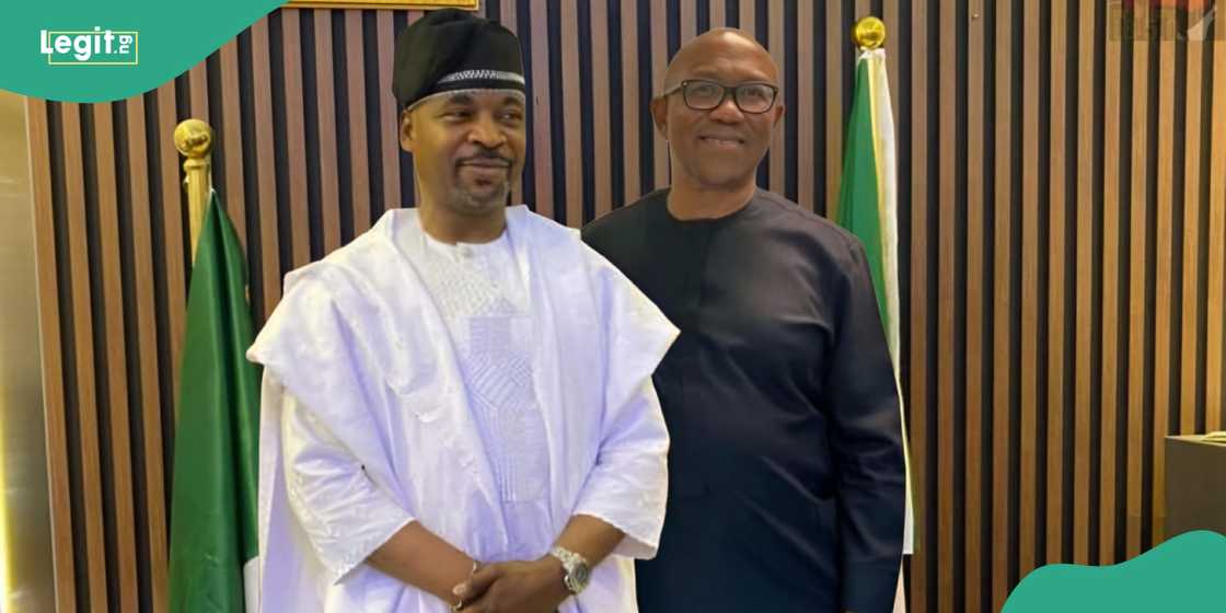 Peter Obi did not pay homage to MC Oluomo