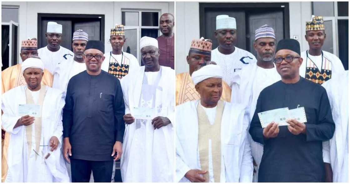 Peter Obi/Peter Obi news/Peter Obi news today Peter Obi/Peter Obi news/Peter Obi news today