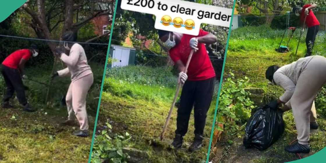 Gardening in the UK/Nigerians living in the UK Gardening in the UK/Nigerians living in the UK