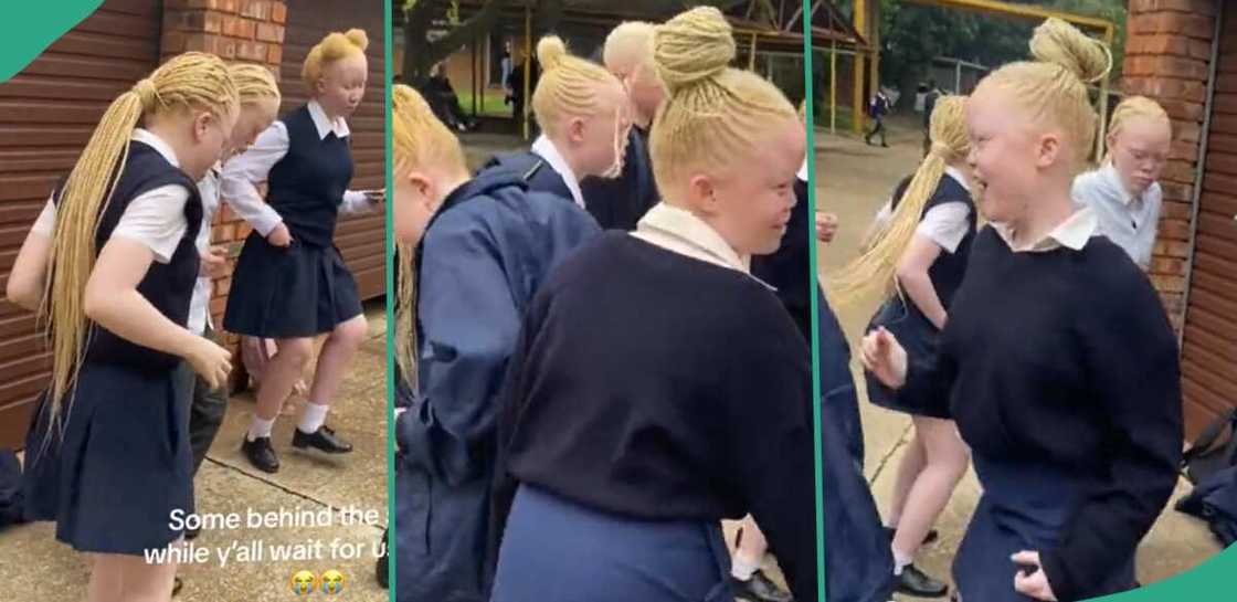 Albino students dance in a sweet way. Albino students dance in a sweet way.