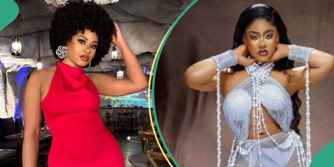 BBN Phyna says she didn't know her wig was rented.