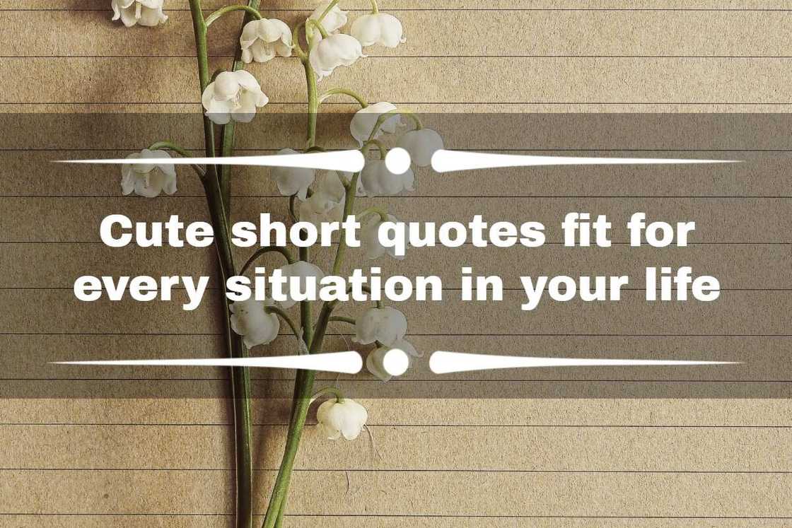 cute short quotes cute short quotes