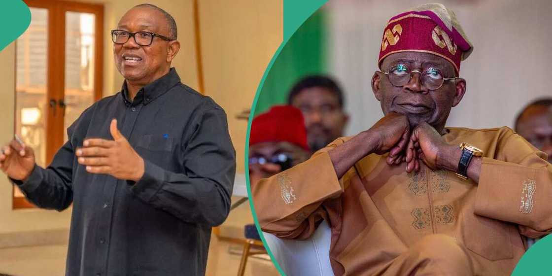 APC, LP, Peter Obi, Tinubu, 2023 election issues APC, LP, Peter Obi, Tinubu, 2023 election issues
