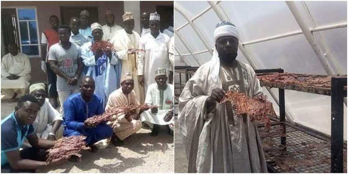 Solar-powered kilishi factory has caused quite a stir on social media Solar-powered kilishi factory has caused quite a stir on social media