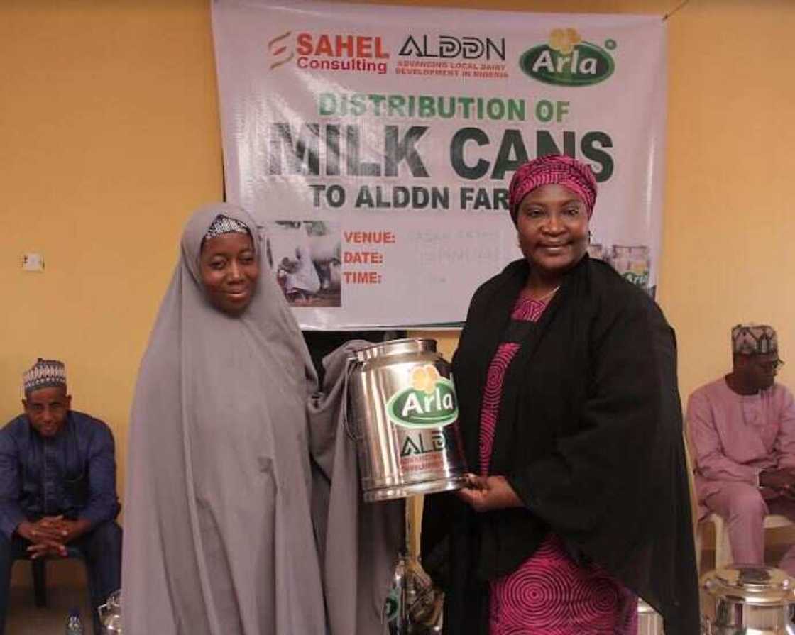 Local Dairy Farmers Excited, as Arla Foods Distributes Milk Cans to Improve Nigerian Milk Quality