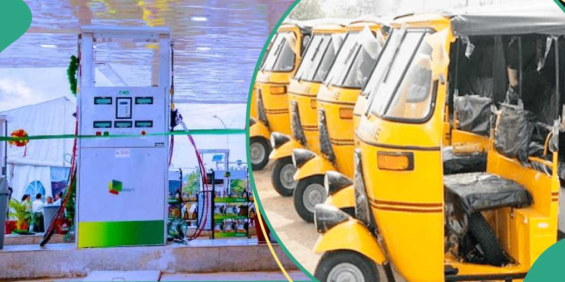 2,000 CNG tricycles launched 2,000 CNG tricycles launched