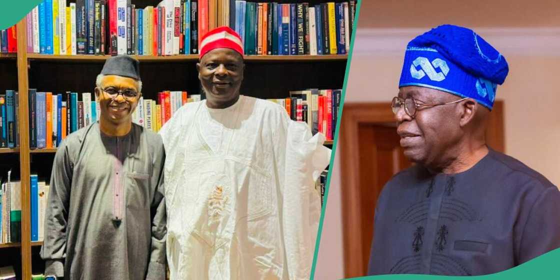 Kwankwaso/El-Rufai/Tinubu/Shettima Kwankwaso/El-Rufai/Tinubu/Shettima