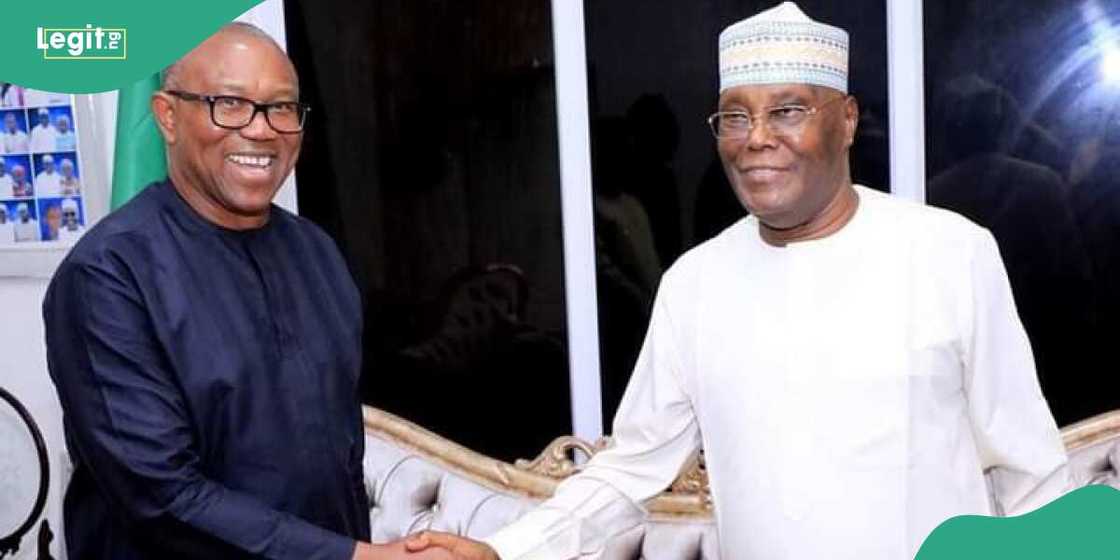 Peter Obi explains why he visited Atiku, Saraki and Lamido Peter Obi explains why he visited Atiku, Saraki and Lamido