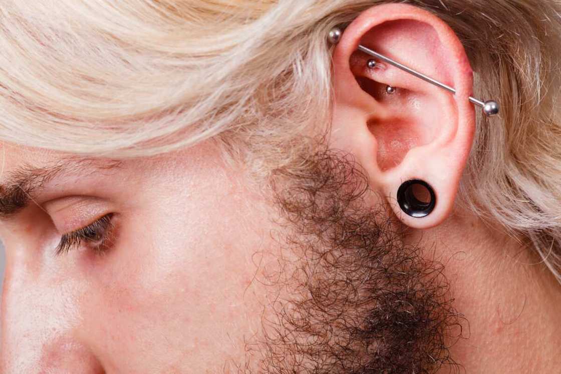 Pierced man ear with black plug tunnel industrial and rook. Pierced man ear with black plug tunnel industrial and rook.