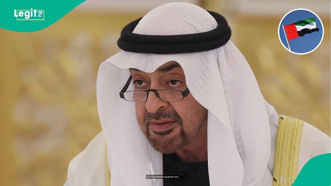 UAE lists 5 benefits available to foreigners who hold Green Residence