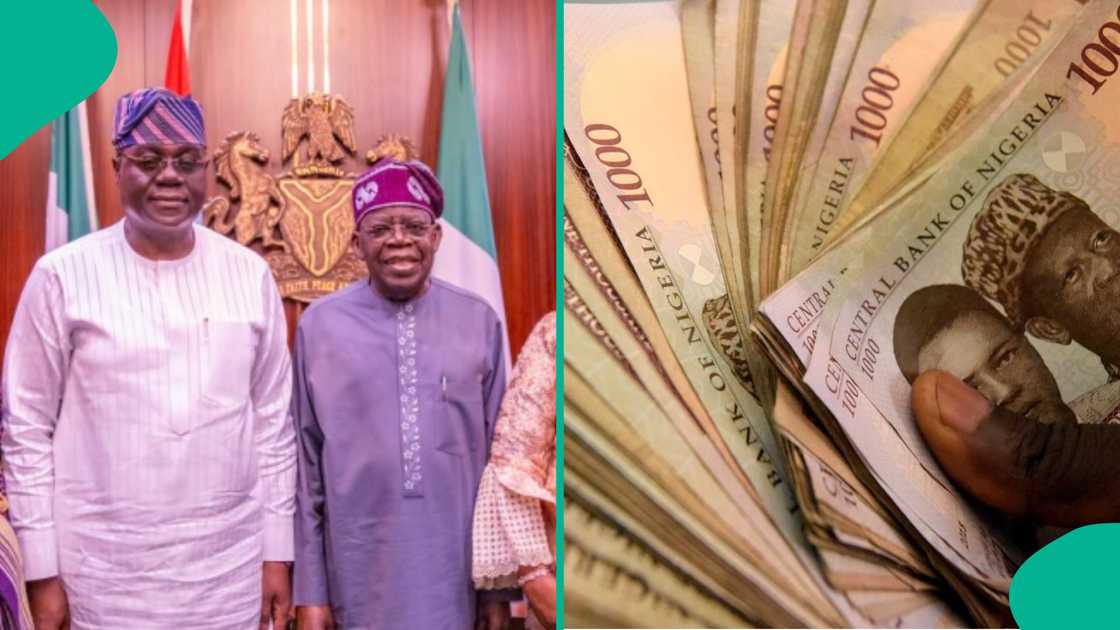 Civil service salaries rise step by step, rewarding workers with higher pay as they advance through the CONPSS structure.