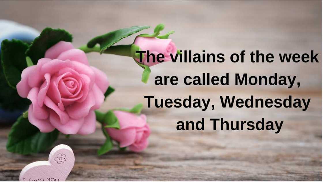 Friday quotes Friday quotes