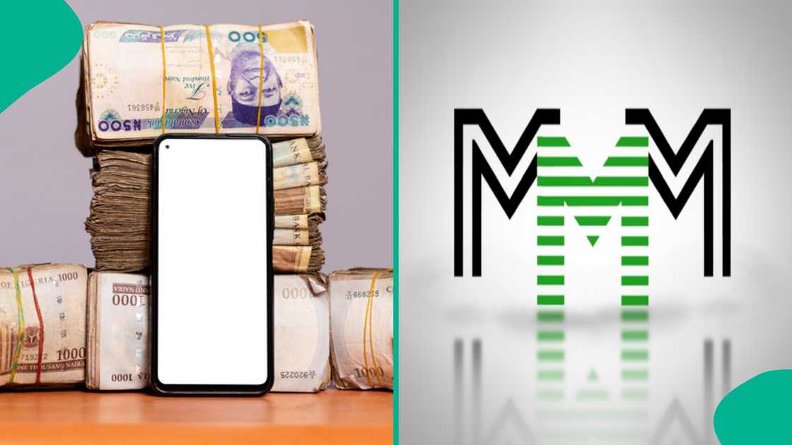 Ponzi schemes have trapped funds belonging to many Nigerians in the past. Ponzi schemes have trapped funds belonging to many Nigerians in the past.