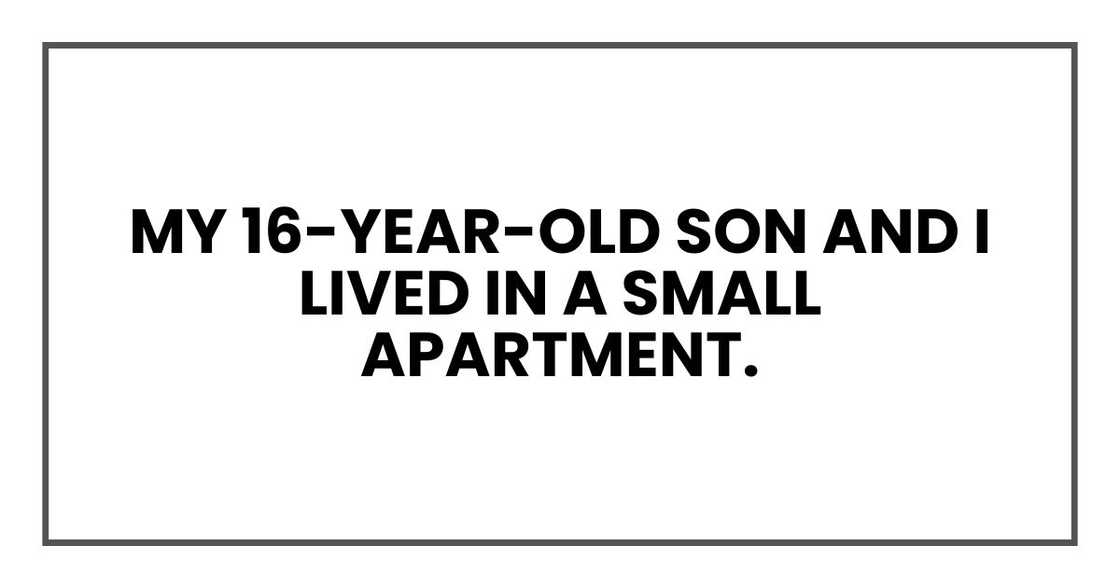 My 16-year-old son and I lived in a small apartment.