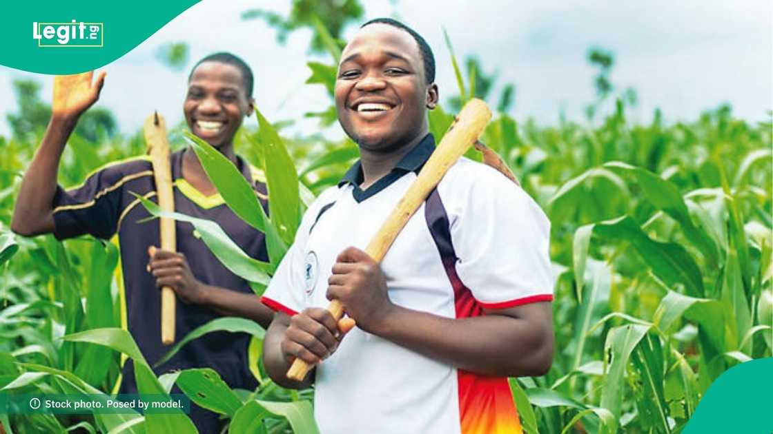 2025 Green Money Project opens for Nigerian youths in agriculture