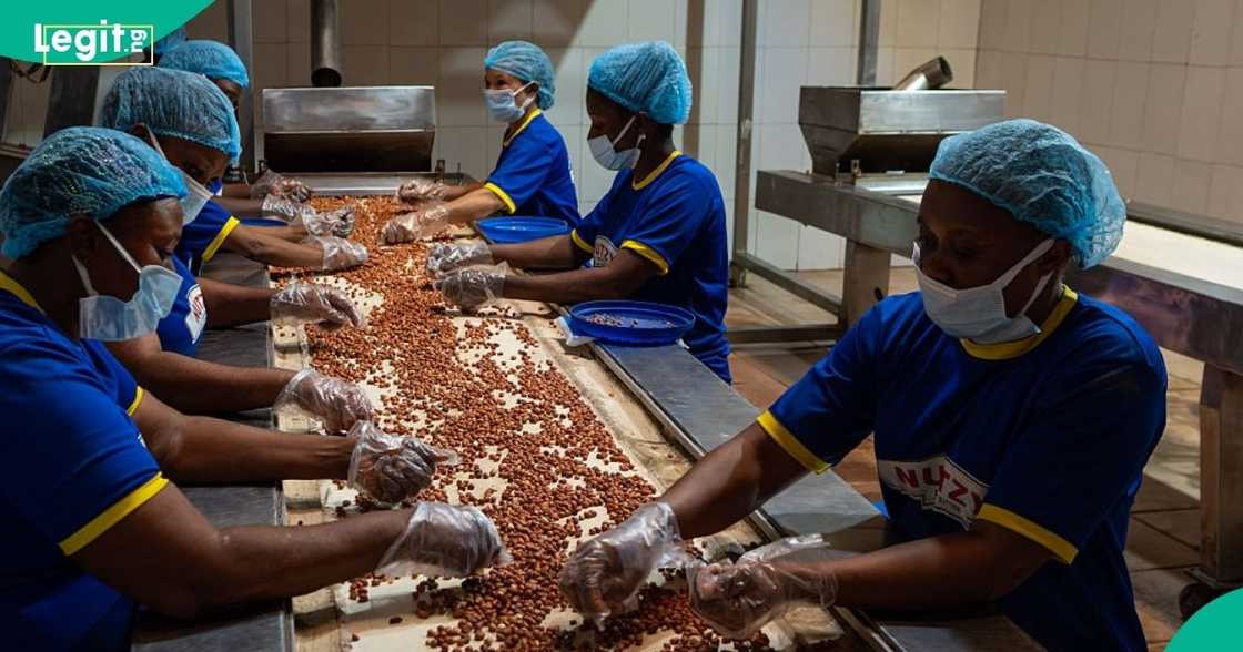 Lagos and Ogun attracted N1.74tn in industrial investments between 2024 and 2025