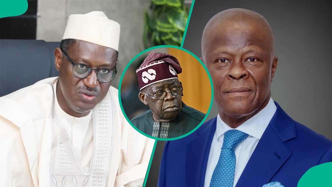 Shugaba Tinubu ya sallami ministan kudi, Wale Edun da takwaransa na gidaje, Ahmed Dangiwa.