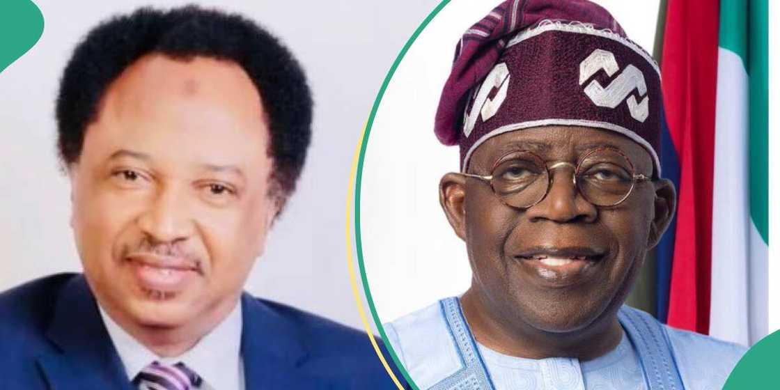 Shehu Sani's cryptic post on Tinubu’s AU appointment