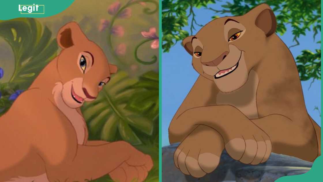 female cartoon characters female cartoon characters