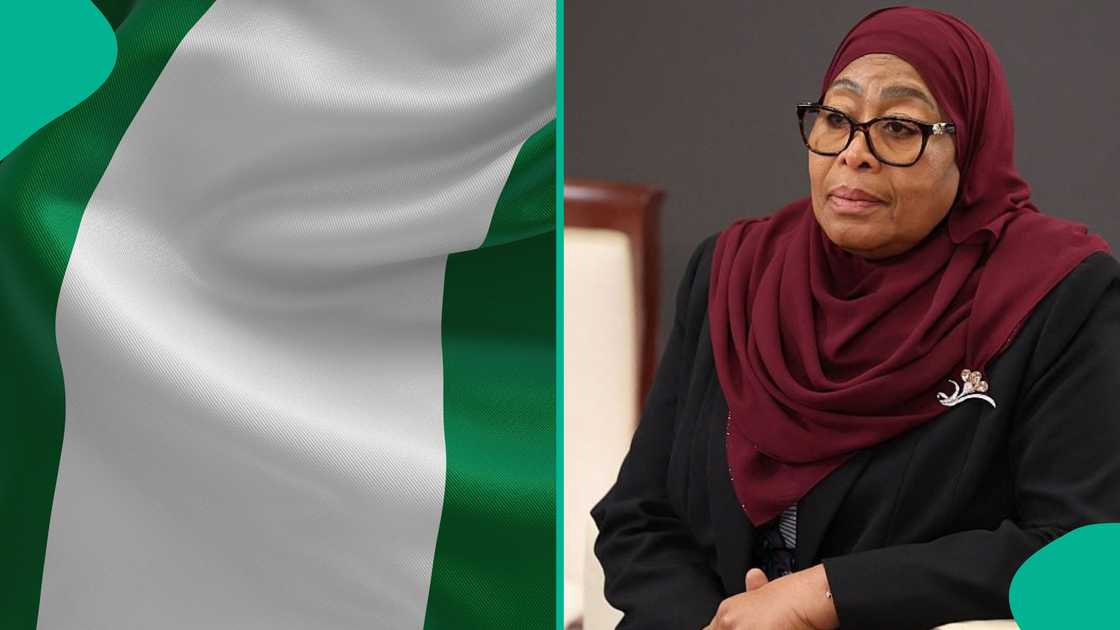 Nigerian travellers now use Tanzania’s standard visa application process after the country lifts referred visa restrictions.