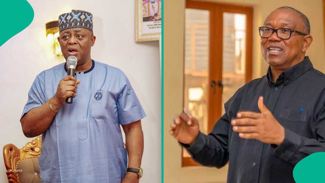 Fani-Kayode blasts Peter Obi over NADECO post