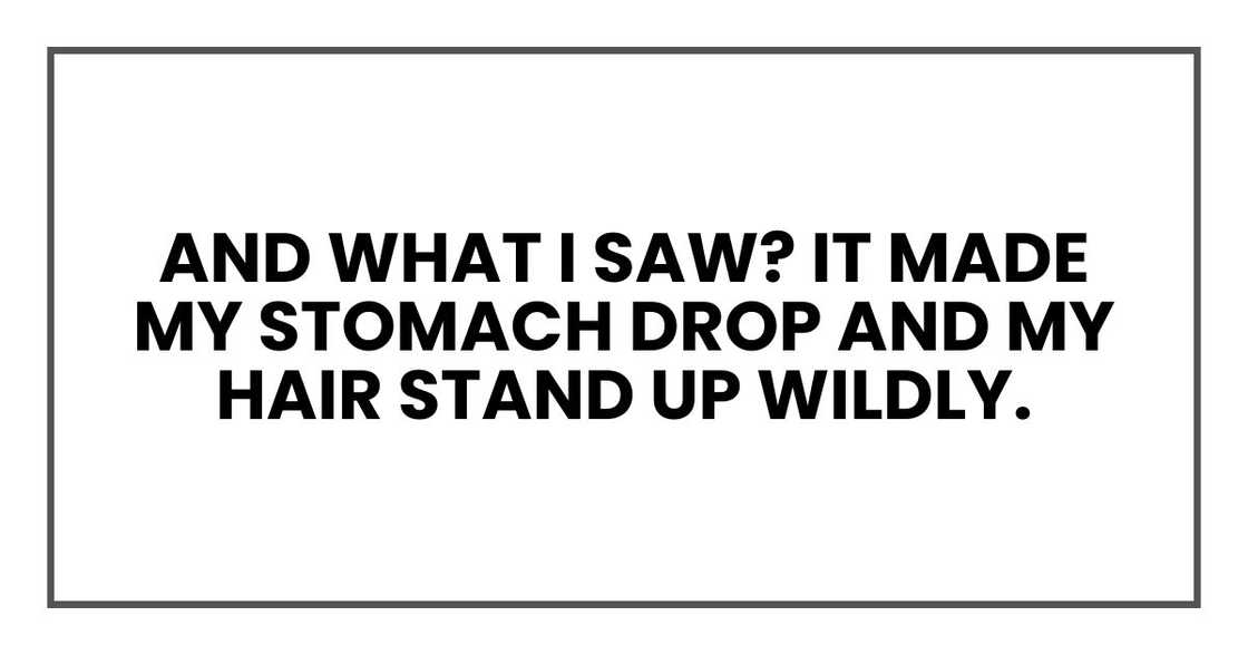 And what I saw?
My goodness.
It made my stomach drop and my hair stand up wildly. And what I saw?
My goodness.
It made my stomach drop and my hair stand up wildly.