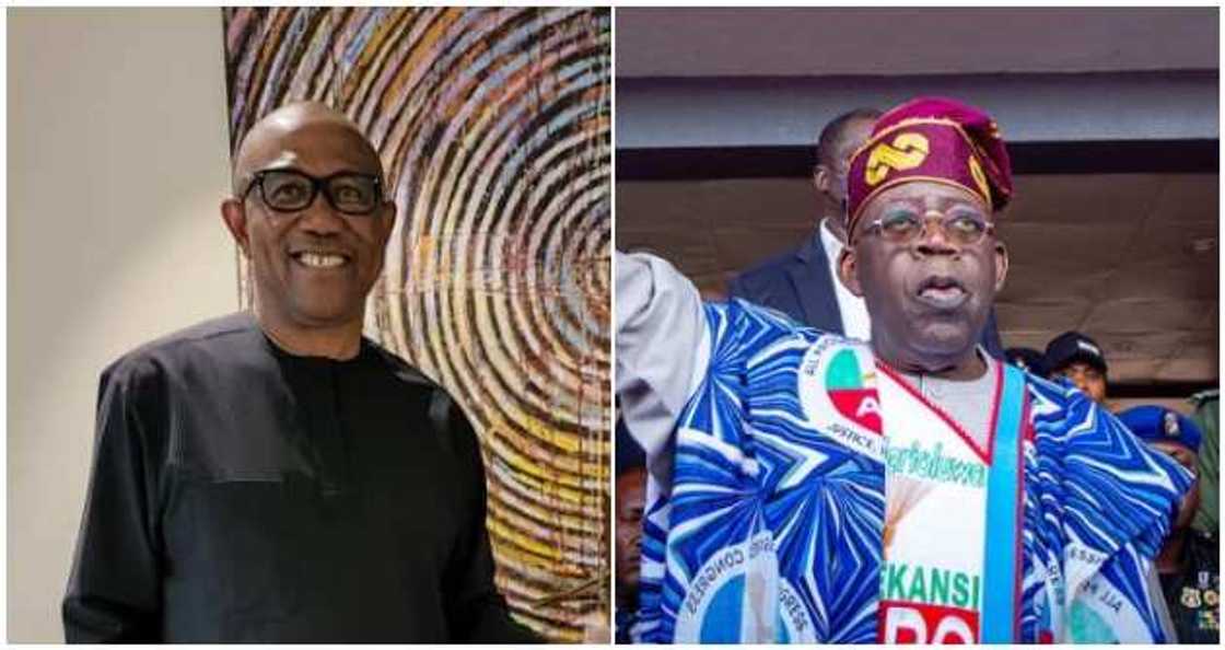 Peter Obi/Bola Tinubu/APC/Labour Party/2023 Election