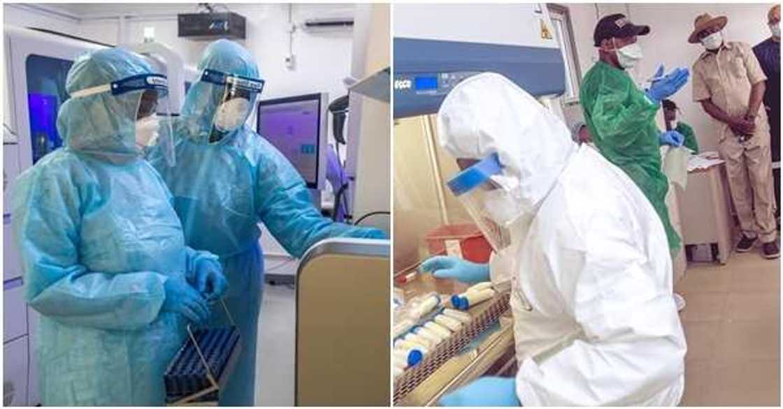 Three dead, 284 hospitalised as strange disease breaks out in Kano Three dead, 284 hospitalised as strange disease breaks out in Kano